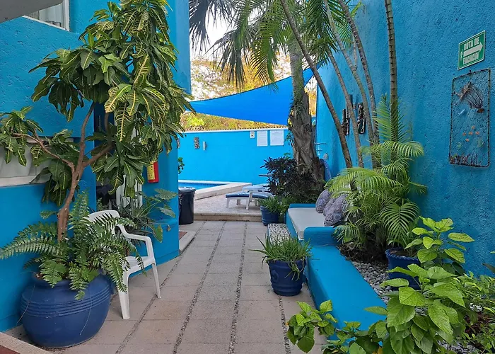 Anclas Cozumel